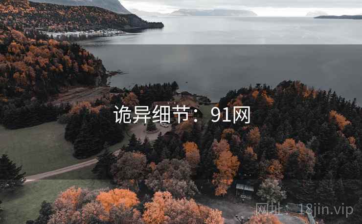 诡异细节：91网