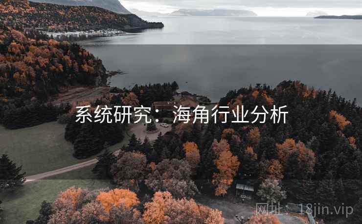 系统研究：海角行业分析