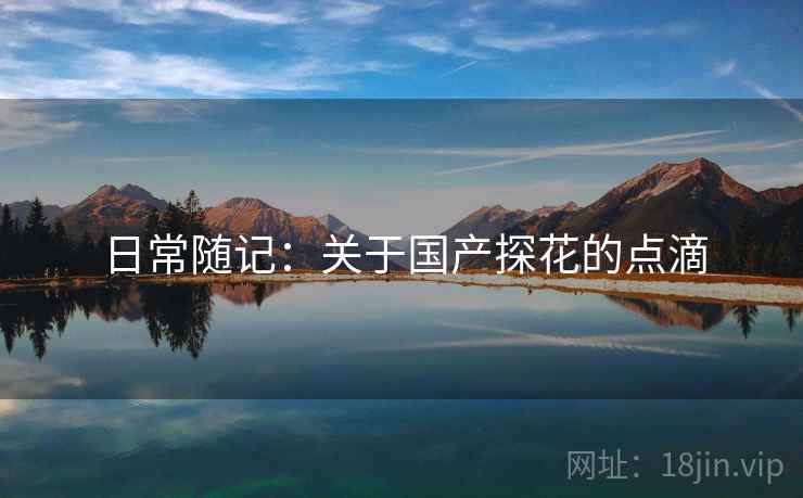 日常随记：关于国产探花的点滴