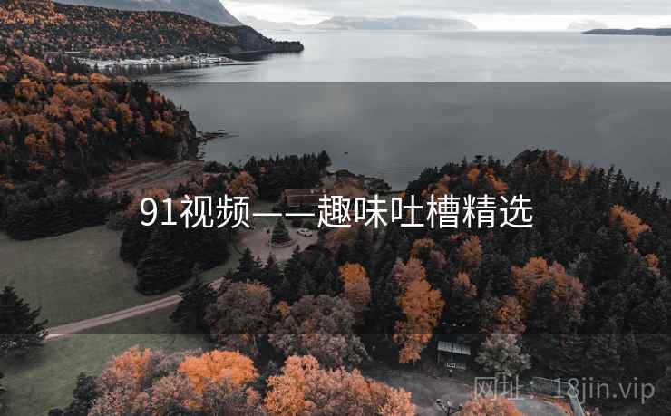 91视频——趣味吐槽精选
