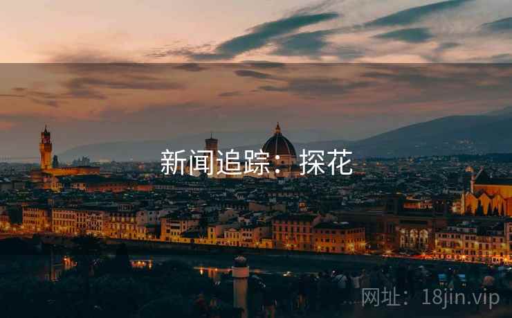新闻追踪：探花