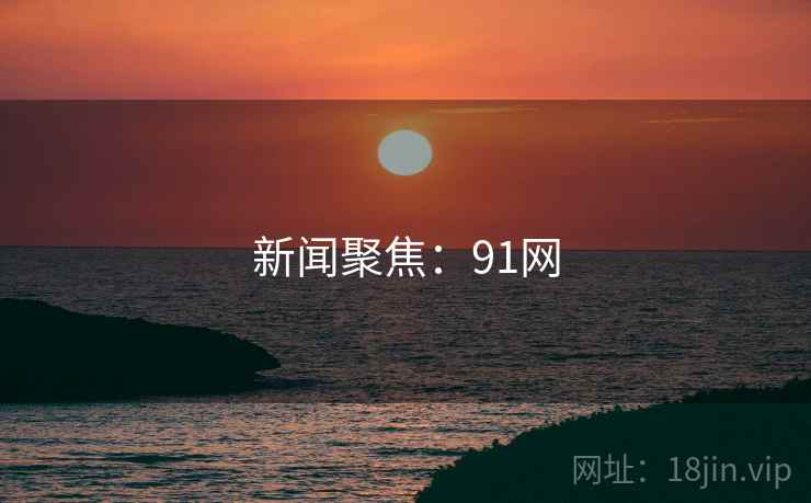 新闻聚焦：91网
