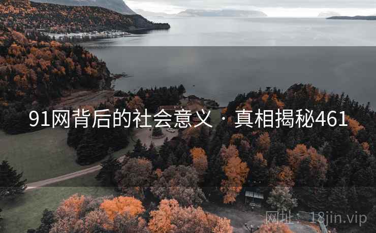 91网背后的社会意义 · 真相揭秘461