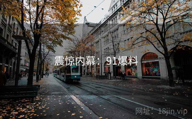 震惊内幕：91爆料