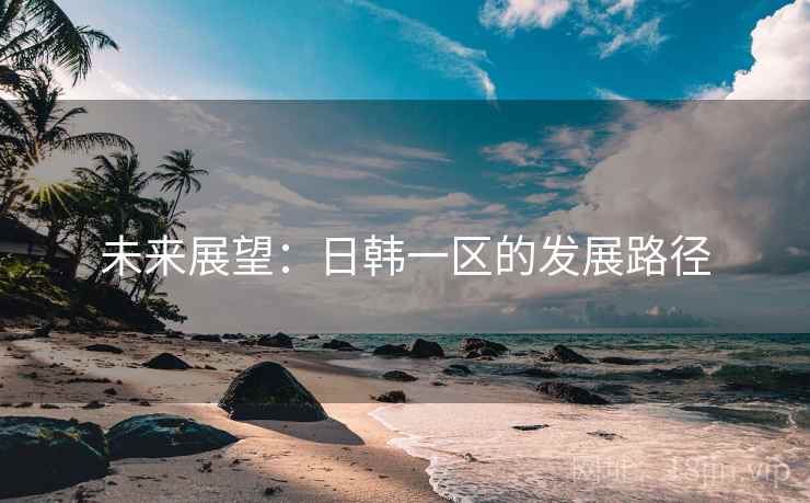 未来展望：日韩一区的发展路径