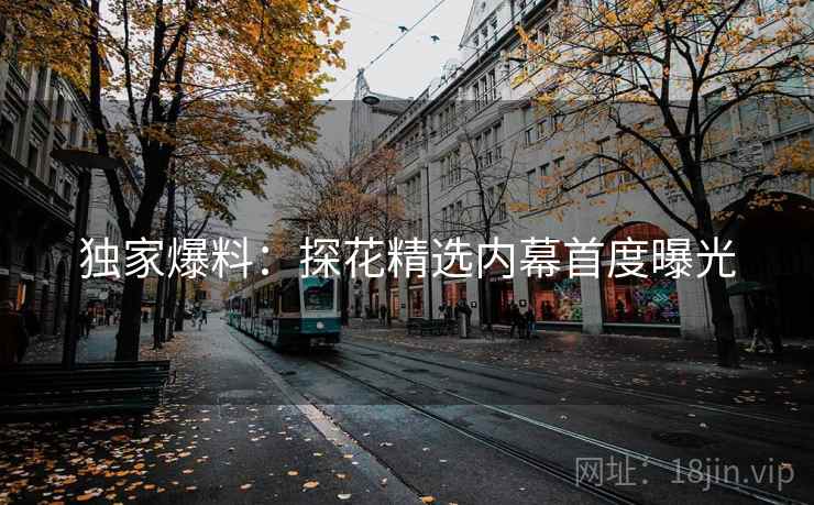 独家爆料：探花精选内幕首度曝光