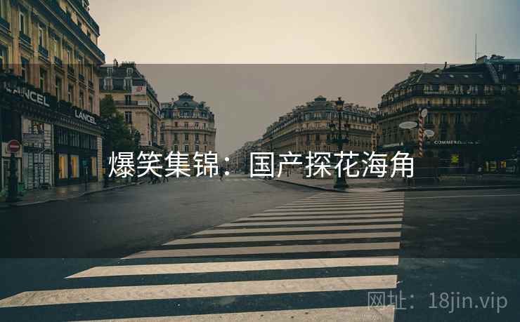 爆笑集锦：国产探花海角