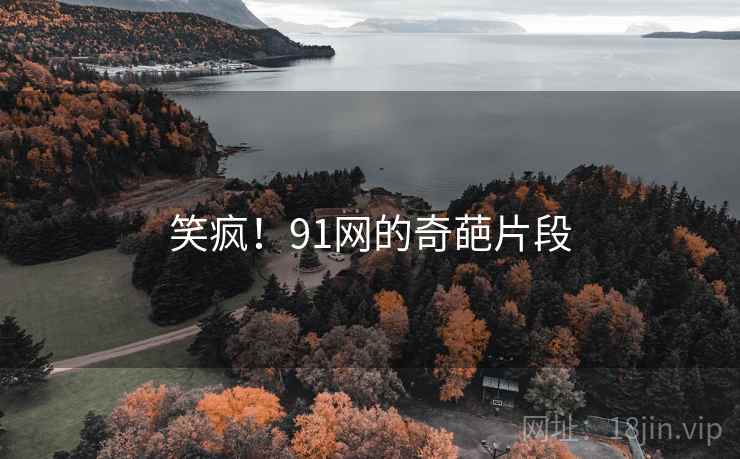 笑疯！91网的奇葩片段