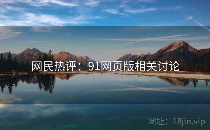 网民热评：91网页版相关讨论