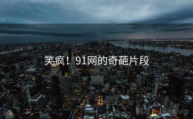笑疯！91网的奇葩片段
