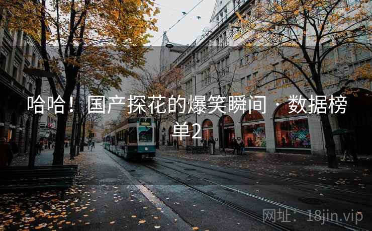 哈哈！国产探花的爆笑瞬间 · 数据榜单2