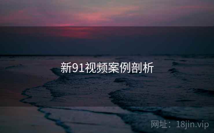 新91视频案例剖析