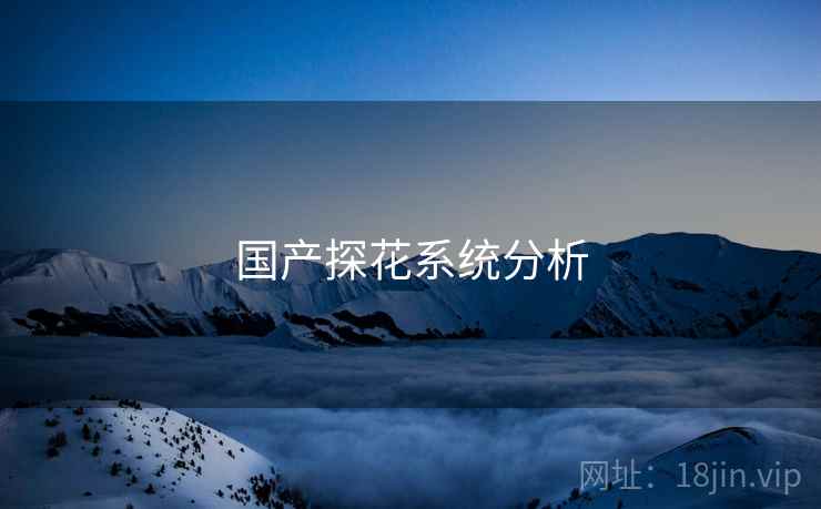 国产探花系统分析