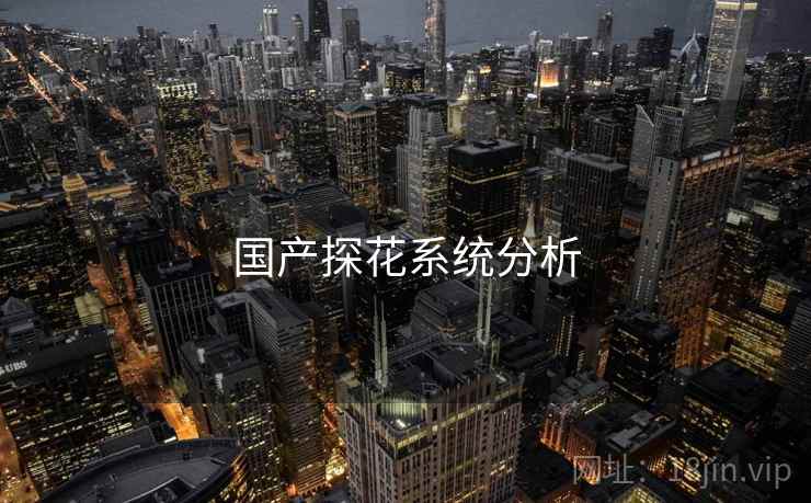 国产探花系统分析