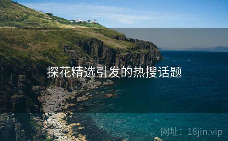 探花精选引发的热搜话题