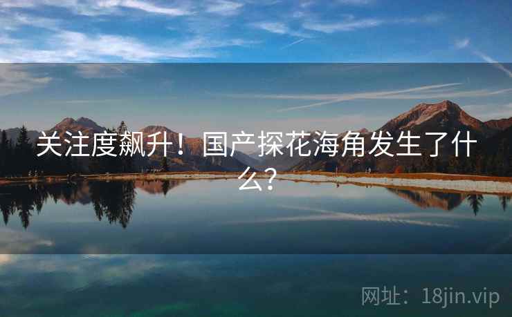关注度飙升！国产探花海角发生了什么？