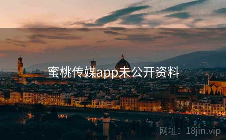 蜜桃传媒app未公开资料