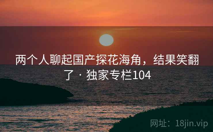 两个人聊起国产探花海角，结果笑翻了 · 独家专栏104