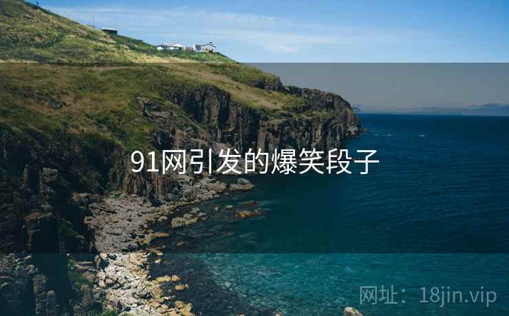 91网引发的爆笑段子