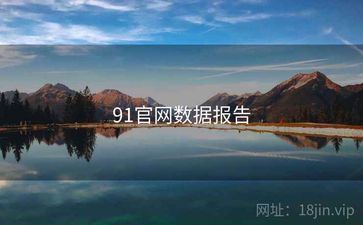91官网数据报告