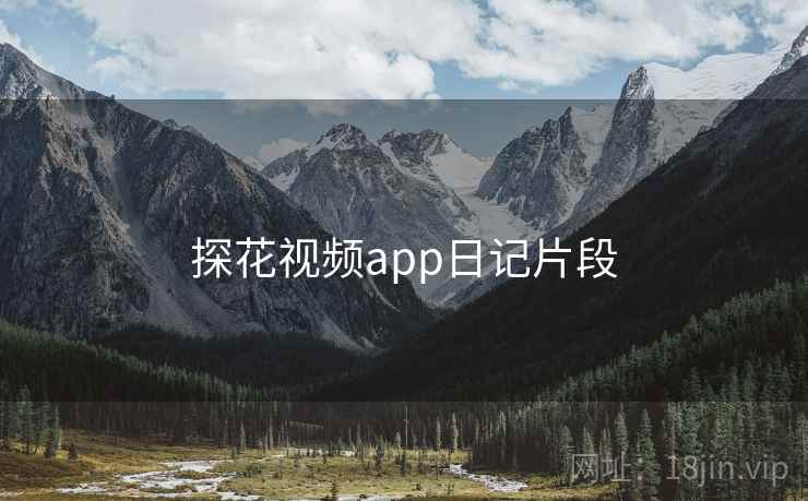 探花视频app日记片段