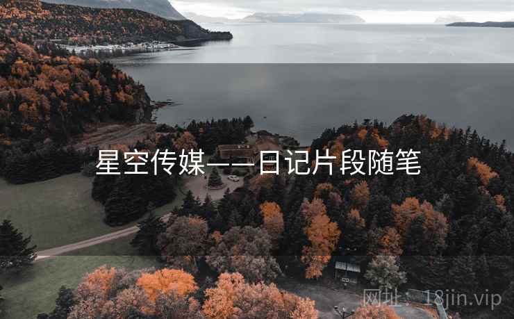星空传媒——日记片段随笔