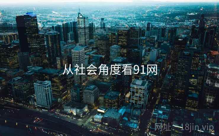 从社会角度看91网