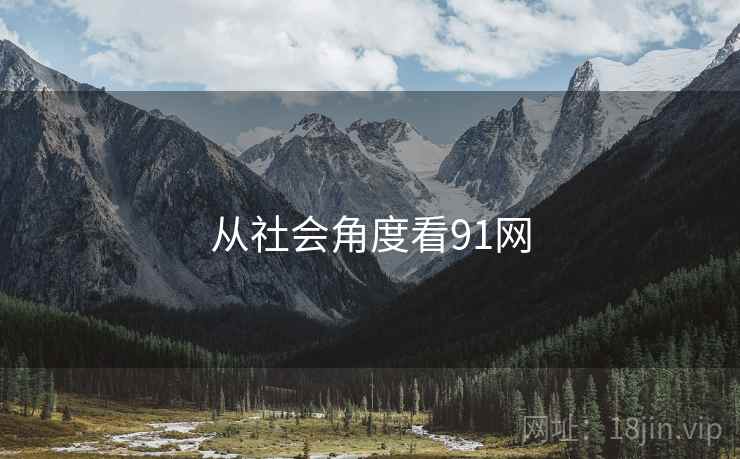 从社会角度看91网