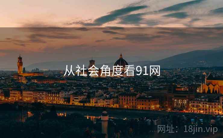 从社会角度看91网