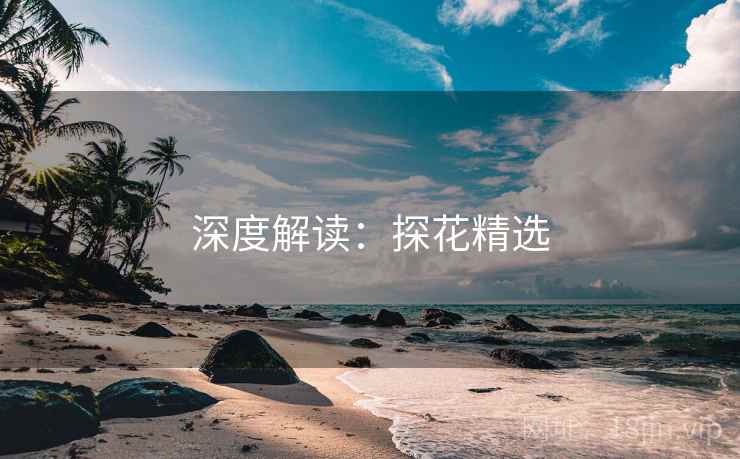深度解读：探花精选