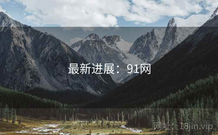 最新进展：91网