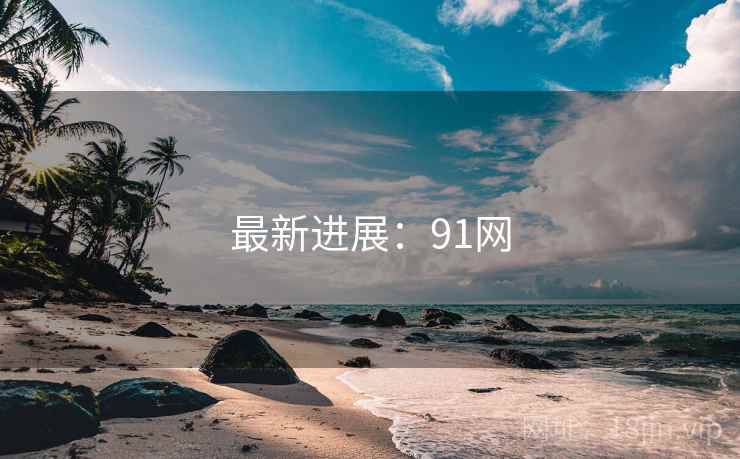 最新进展：91网