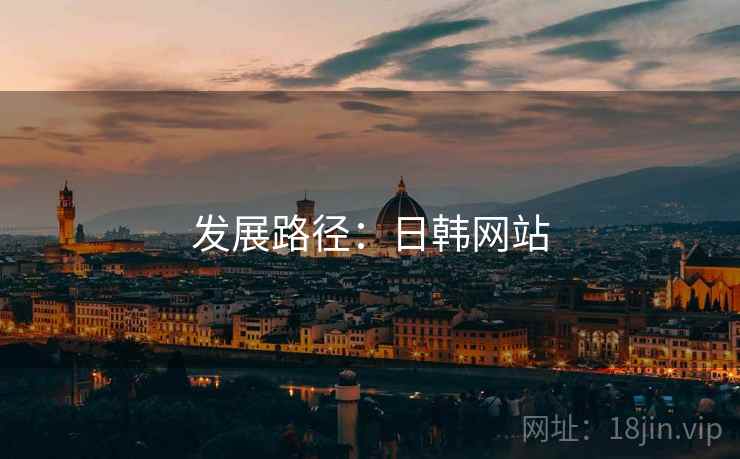 发展路径:日韩网站 发展路径:日韩网站